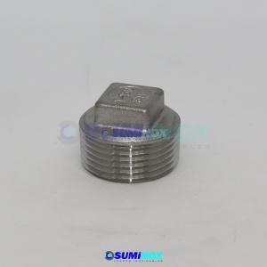 316 Tapa Tornillo 150 LBS NPT 1/4