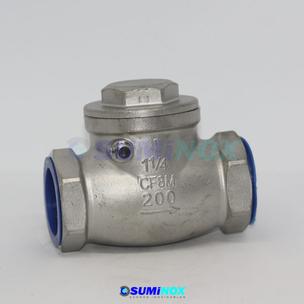 316 Válvula Swin Check 125-200 Wog NPT