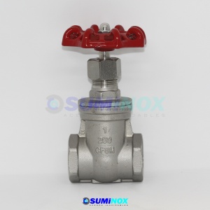 316 Válvula Compuerta NPT 2″