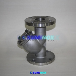316 Filtro Tipo Y Con Flange 150 Lbs 2.1/2″