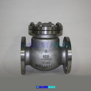 316 Válvula Swin Check Con Flange 150 Lbs