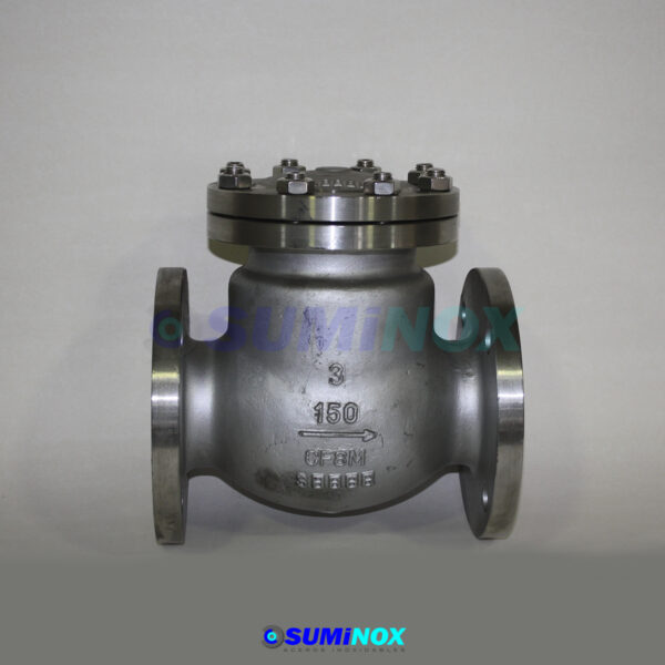 316 Válvula Swin Check Con Flange 150 Lbs